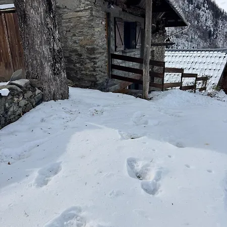 Chalet Les écrins D'or - Maison