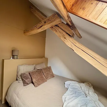 Les écrins D'or - Maison *