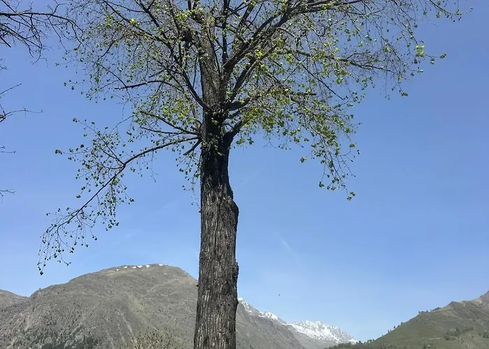 Les Ecrins D'or - Maison 샬레 레두잘프